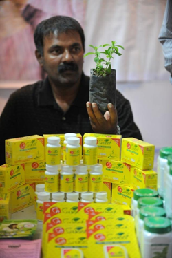  Information about using stevia with diabetes safe for sugar alternative for diabetics stevia better healthy living